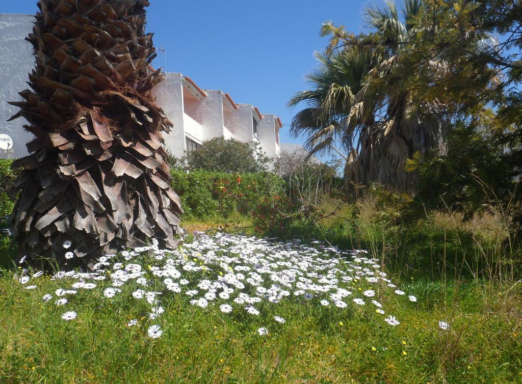 Apartment Tudo Bem Olhao Exterior photo